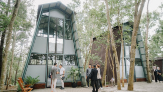 GLAMPING PINUS PENGGER di Bantul, Yogyakarta, Tawarkan Sejuknya Udara dan Keasrian Pohon Pinus