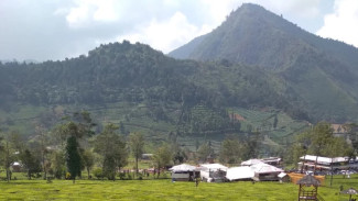 Wisata Kebun Teh Tambi: Panorama Hijau dan Fasilitas Liburan Lengkap di Wonosobo, Jawa Tengah