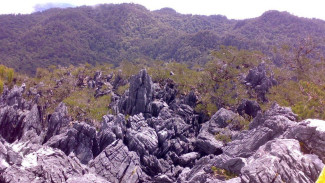 BRIN Dorong Penetapan Lanskap Sombori–Mekongga sebagai Taman Nasional dan Warisan Dunia