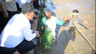 Revitalisasi Lahan Pertanian Pascabencana Menggunakan Pendekatan Padat Karya