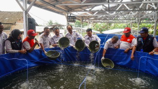 Budi Daya Ikan Lele: Langkah Strategis Wujudkan Ketahanan Pangan di Salatiga, Jawa Tengah