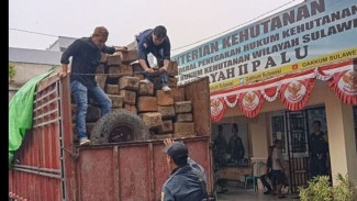 Pengangkutan Kayu Ilegal di Kabupaten Donggala Siapa Disidangkan, Tersangkanya Sopir Mobil Angkut Kayu?