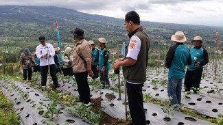 CERTA KOPI: Petani Wonolelo, Magelang, Perluas Areal Lahan Kopi Arabika untuk Tingkatkan Penghasilan
