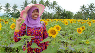 TAMAN DEWARI, Magelang, Jawa Tengah, Tawarkan Spot Foto Instagramable, di Lautan Bunga Matahari