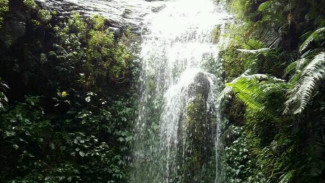 AIR TERJUN MANGLI di Magelang, Jawa Tengah, Tawarkan Air Terjun Eksotis Negeri di Atas Awan