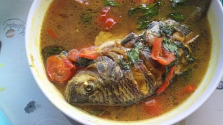 Makan Ikan Nila Palumara Sambil Berwisata di Waduk Bili-Bili