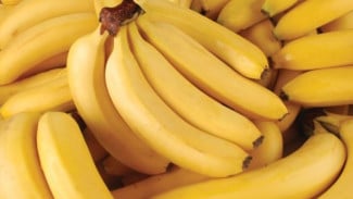 Manfaat Pisang untuk Menurunkan Tekanan Darah: Lebih dari Sekadar Buah Biasa