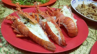 Kampung Lobster Gunungkidul, Wisata Kuliner Edukatif dengan Harga Bersahabat