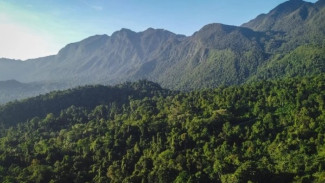 Taman Nasional Manusela, Surga Petualangan di Jantung Pulau Seram