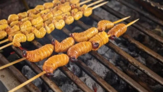 Jejak Kuliner Ekstrem di Indonesia: Asal Usul Budaya, Tradisi, dan Pandangan Antropolog
