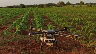 Modernisasi Pertanian Indonesia: Drone Sawah di Kapuas Dorong Produktivitas dan Swasembada Pangan