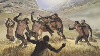 Menguak Misteri Homo habilis: Benarkah Ia Nenek Moyang Manusia yang Hilang?