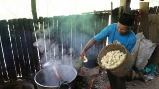 Tape Singkong Watugedug, Cerita Manis dari Dapur-Dapur Sederhana di Bantul, Yogyakarta