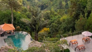 Kafe Higher Ground Tawangmangu: Spot Terbaik Menikmati Golden Hour dan Kabut Pagi yang Magis