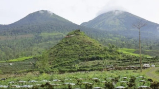 Eksplorasi Gunung Cilik Kaliurip: Bukit Piramida Hijau di Tengah Hamparan Kebun Teh Wonosobo