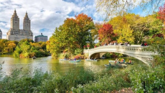 Rahasia Menikmati Kota New York Seperti Warga Lokal yang Autentik