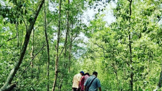 Kemenhut Kembangkan Ekowisata Mangrove Penajam Paser Utara sebagai Destinasi Edukasi Berkelanjutan