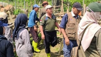Menjaga Nadi Pangan dari Brebes: Dedikasi Wasbitnak dalam Mencetak Bibit Ternak Unggul Nusantara