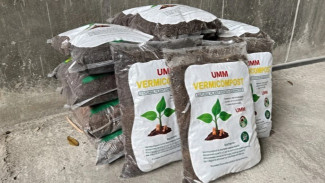 UMM Olah Ratusan Ton Sampah Organik Jadi Pupuk, Wujud Nyata Kampus Hijau Berkelanjutan