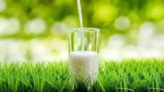 Manfaat Susu untuk Tanaman: Rahasia Kebun Subur dengan Bahan Dapur