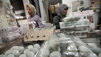 Wisata Kuliner Pantura: Mengapa Telur Asin Brebes Tetap Jadi Idola di Tengah Gempuran Camilan Modern?