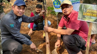 Menanam Harapan di Hutan Pinus: Sinergi Hijau Siswa SMAN 1 Ajibarang