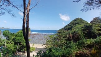 Menggali Potensi Ekonomi dan Konservasi di Pantai Teluk Asmara Malang