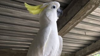 img_title