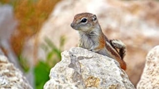 img_title