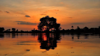 Waduk Gadel, Wisata Alam Tenang di Balongpanggang - Gresik yang Cocok untuk Healing dan Menikmati Pedesaan