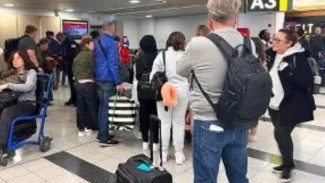 Fenomena Gate Lice: Istilah Unik di Bandara yang Bikin Geleng-Geleng Kepala