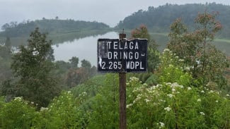 Wisata Telaga Dringo, Pesona Cagar Alam Tertinggi di Jawa Tengah yang Dijuluki Miniatur Ranu Kumbolo