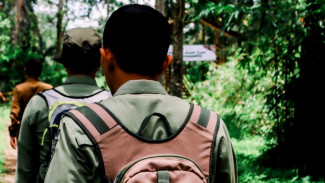 Mengenal Barisan Penjaga Hutan Perhutani (BPHP), Garda Terdepan yang Menjaga Kelestarian Hutan Indonesia