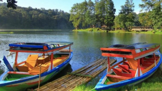 Menjemput Kedamaian di Hamparan Kabut Situ Patenggang: Romantisme Kebun Teh dan Cerita Perahu Ciwidey yang Memikat Hati