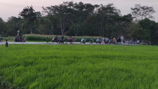 Embung Setumpeng Karanganyar, Wisata Alam Asri dengan Panorama Sawah dan Edukasi Pertanian Organik