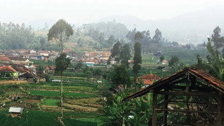 Desa Wisata Lebak Muncang Ciwidey, Destinasi Agrowisata Sejuk dengan Pengalaman Live in Bersama Warga