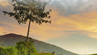 Bukit Jengkoang, Wisata Alam dengan Panorama Kebun Sayur dan Gunung Arjuno yang Memesona di Kota Batu