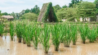 img_title