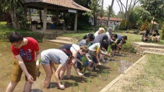 Menilik Keunikan Desa Wisata Brayut: Rahasia Sukses Liburan Edukasi Budaya Khas Sleman Tanpa Mengandalkan Pesona Alam