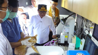 Kini, Ada Layanan Mobil Klinik Hewan Keliling, akan Beroperasi di Lima Wilayah Kota Administrasi Jakarta
