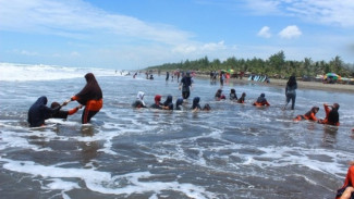 Pantai Widara Payung Cilacap, Surga Peselancar dengan Cemara Udang dan Kuliner Undur-undur Laut