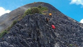 Taman Nasional Manusela Maluku: Pesona Gunung Binaiya dan Kekayaan Alam Pulau Seram