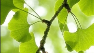 img_title