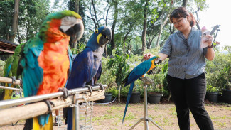 FLONA 2026 di Jakarta, bakal Hadirkan Kekayaan Flora Fauna Nusantara, 28 Agustus hingga 27 September 2026