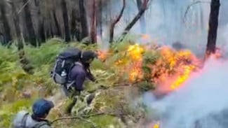 Kebakaran, Akses Jalur Pendakian menuju Kawasan Gunung Arjuno dan Welirang di Kabupaten Pasuruan, Ditutup Total