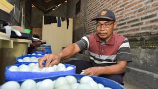 Yuk, Jalan-Jalan ke Kampung Bebek, di Dusun Tawangsari, Kejapanan Kebanjiran, Kabupaten Pasuruan, Jawa Timur....