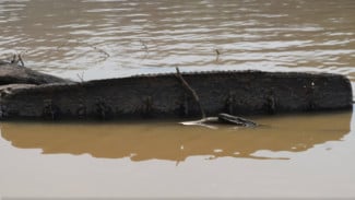 Kapal Onrust Ditemukan Kembali di Sungai Barito, Jejak Perang Banjar Berusia 167 Tahun Terungkap