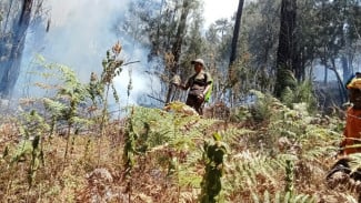 GUNUNG ARJUNO - Welirang masih Diterjang Kebakaran Hutan dan Lahan, Total Lebih Dari 300 Hektare