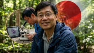 Ilmuwan Jepang Habiskan 20 Tahun Buktikan Hutan Bisa Redakan Stres dan Perkuat Imun Tubuh Anda