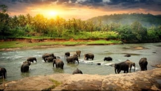 Menikmati Pensiun Nyaman: 5 Negara Terbaik di Asia dengan Biaya Hidup Paling Terjangkau